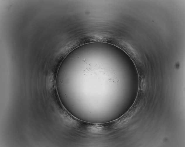 X0000100200318200806061328