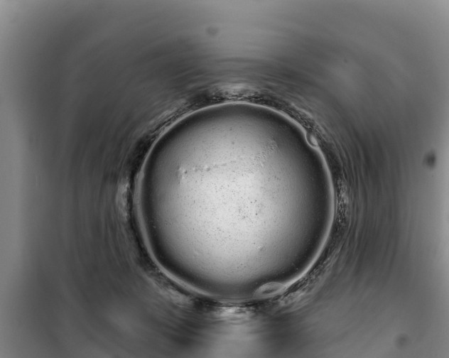 X0000100200319200806061328