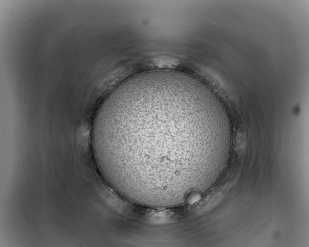 X0000100200321200806061328