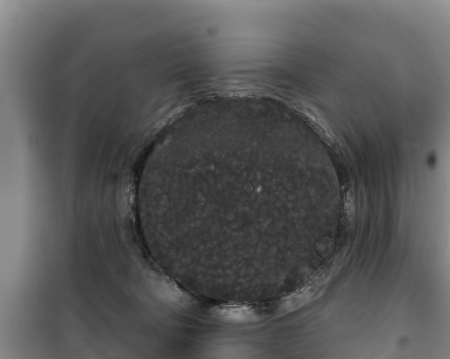 X0000100200322200806061328