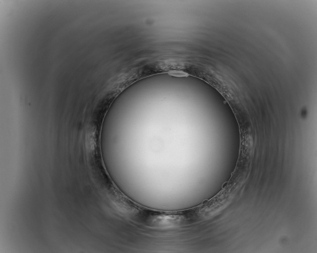 X0000100200323200806061328