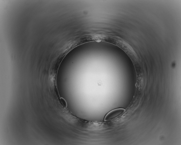 X0000100200329200806061328