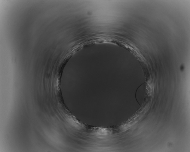 X0000100200330200806061328