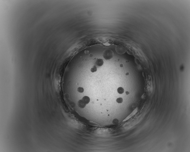 X0000100200332200806061328