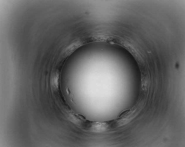 X0000100200334200806061328