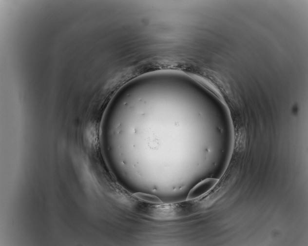 X0000100200335200806061328