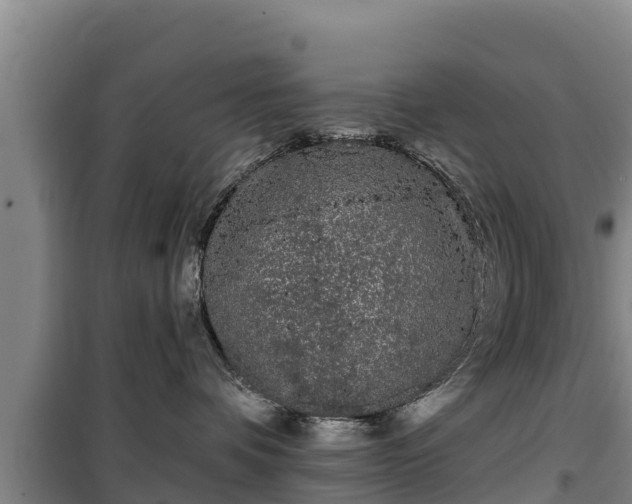 X0000100200336200806061328