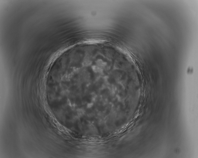 X0000100200337200806061327