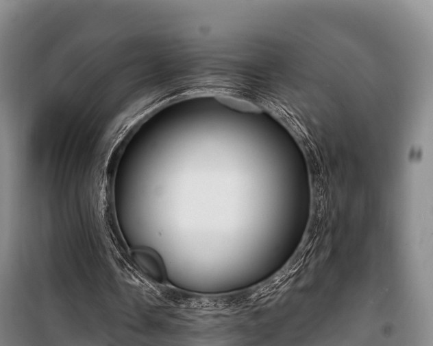 X0000100200338200806061327