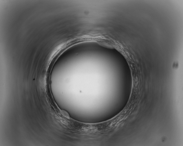 X0000100200340200806061327