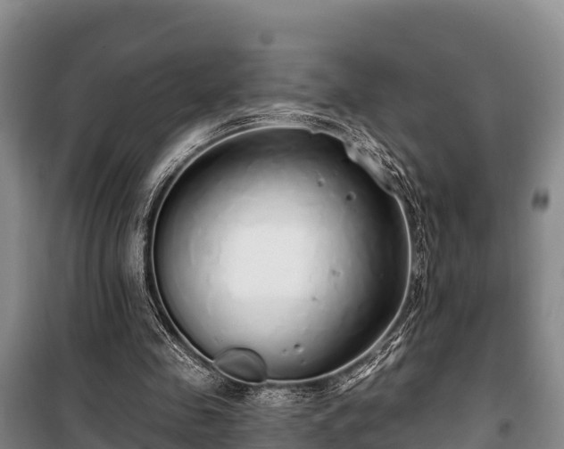 X0000100200341200806061327