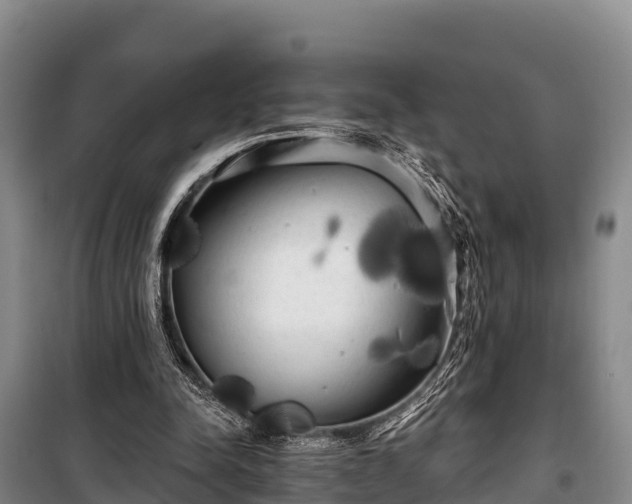 X0000100200342200806061327