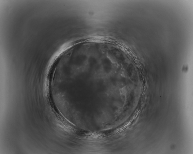 X0000100200343200806061327