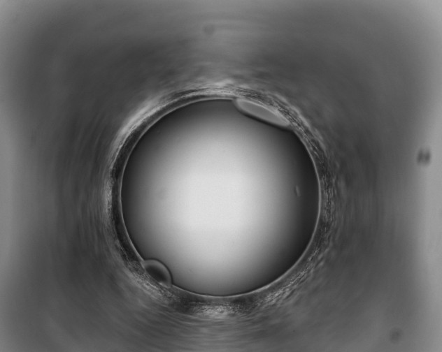 X0000100200344200806061327