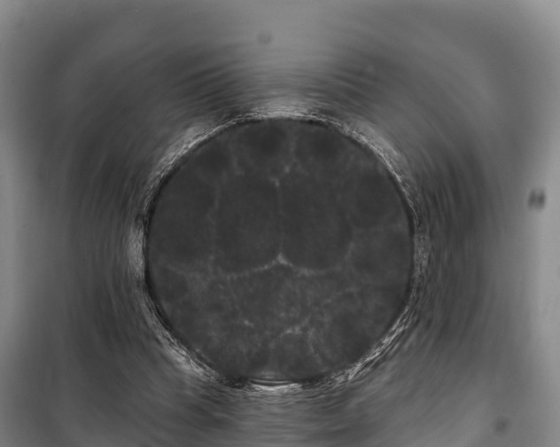 X0000100200345200806061327