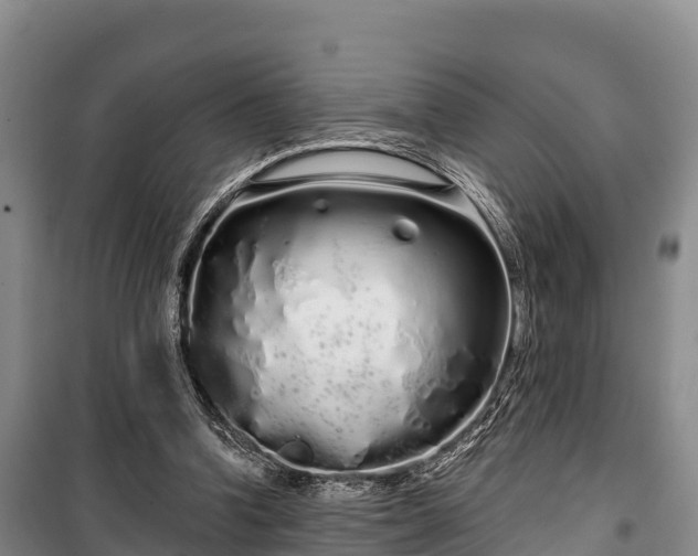 X0000100200346200806061327