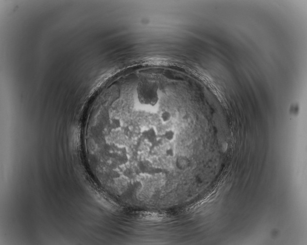 X0000100200347200806061327