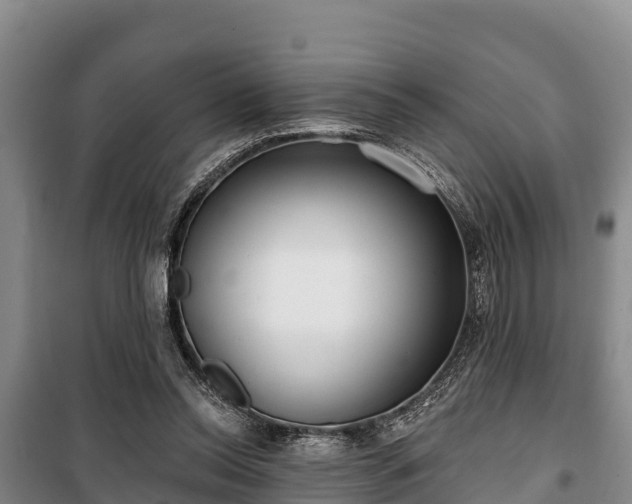 X0000100200350200806061327