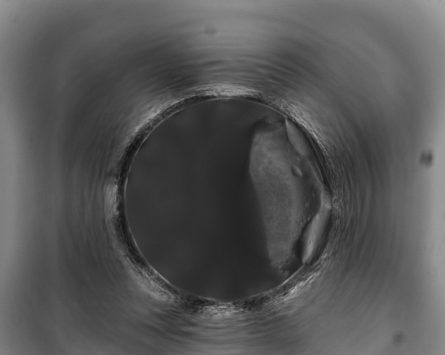 X0000100200351200806061327