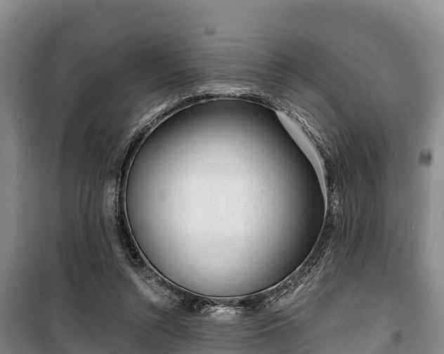 X0000100200352200806061327