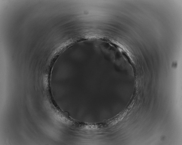 X0000100200353200806061328