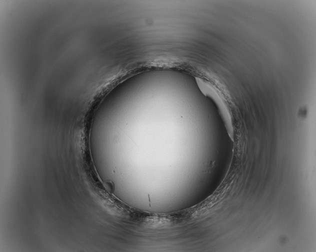 X0000100200354200806061328