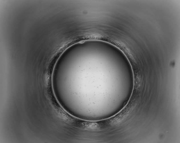 X0000100200355200806061328