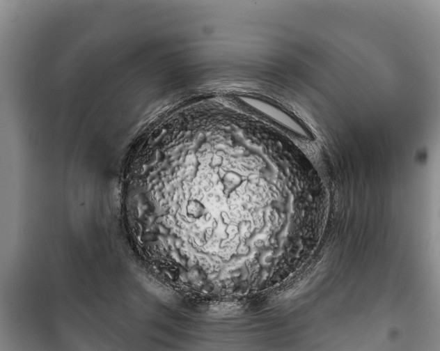 X0000100200357200806061328