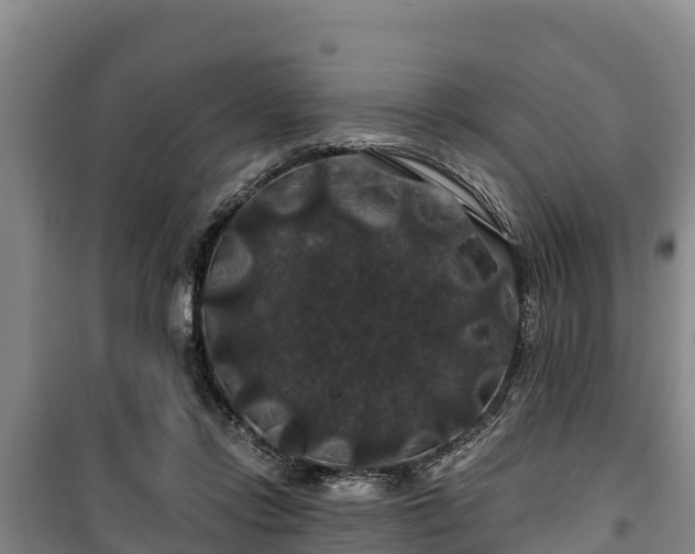 X0000100200358200806061328