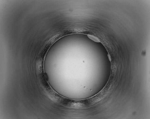 X0000100200360200806061328