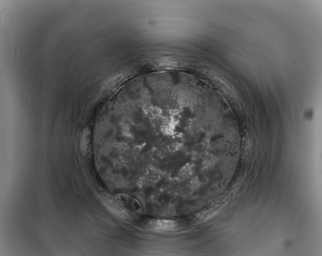 X0000100200361200806061328