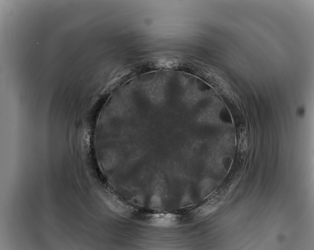 X0000100200363200806061328