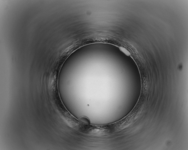 X0000100200364200806061328