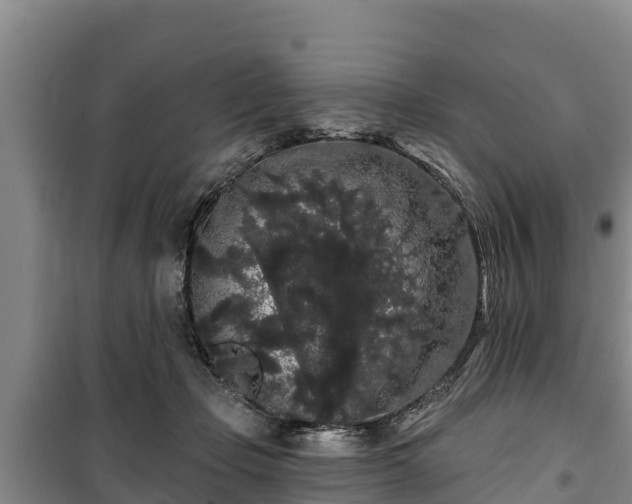 X0000100200365200806061328