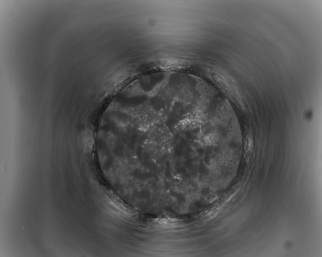 X0000100200367200806061328