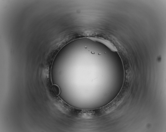 X0000100200368200806061328