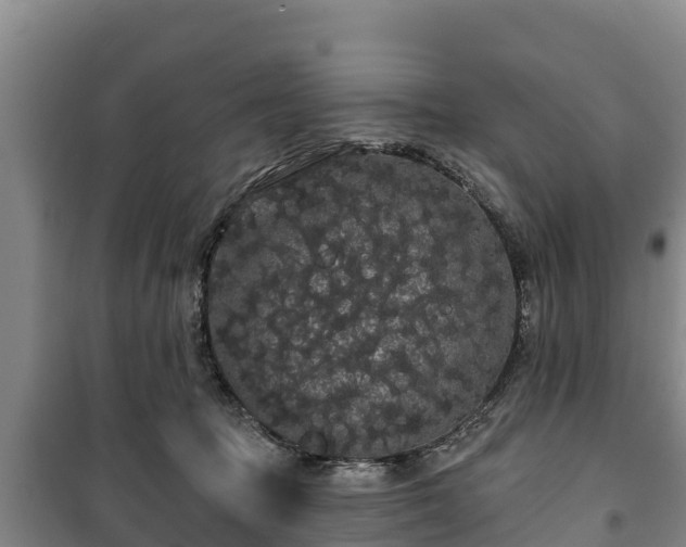 X0000100200369200806061328