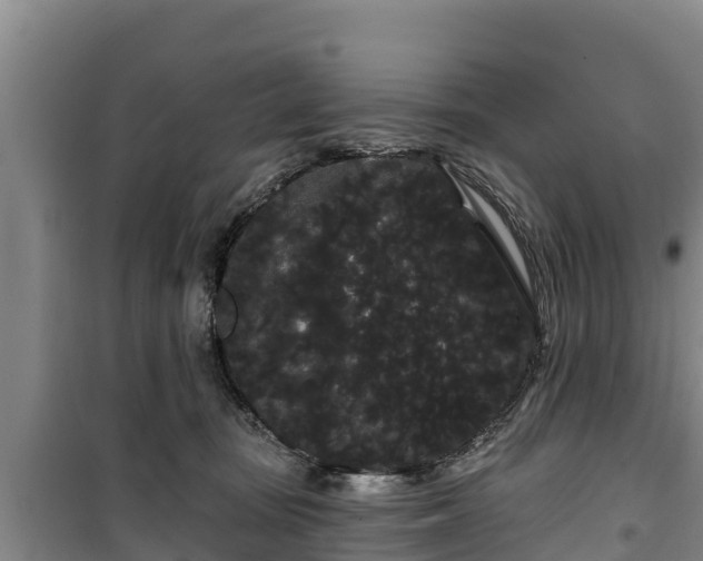 X0000100200371200806061328