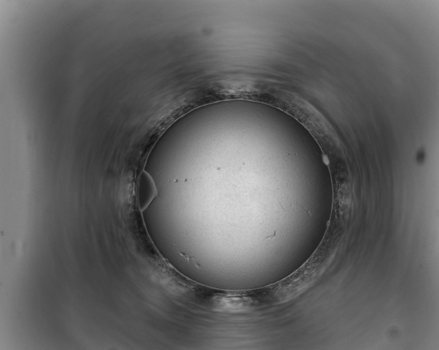 X0000100200372200806061328