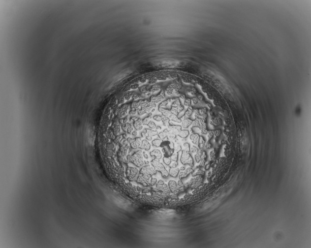 X0000100200374200806061328