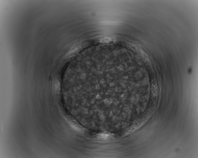 X0000100200375200806061328