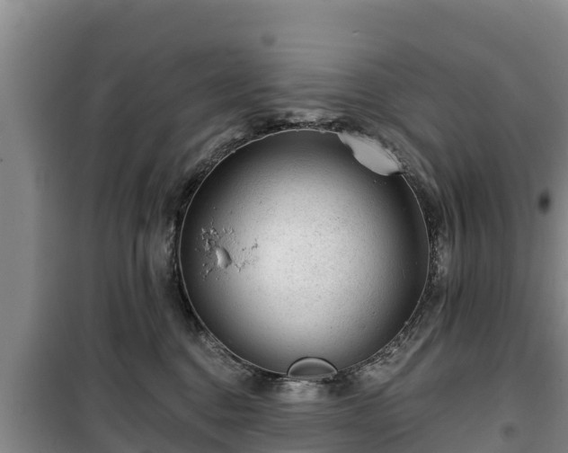 X0000100200376200806061328