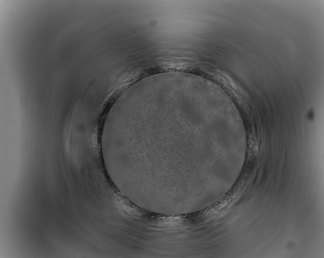 X0000100200377200806061328