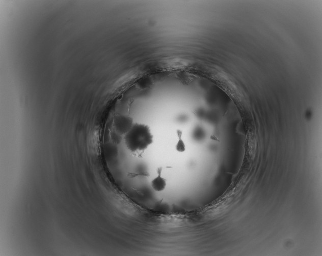 X0000100200378200806061328
