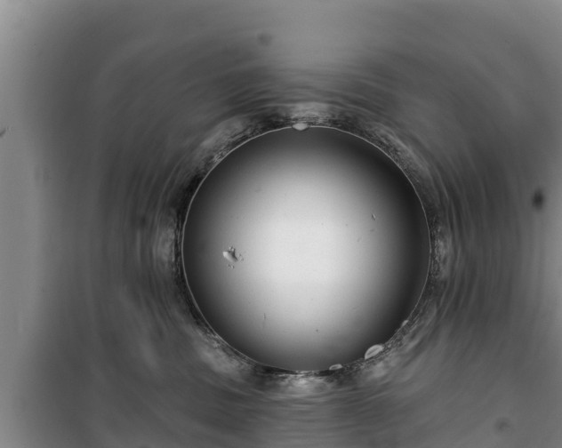 X0000100200379200806061328