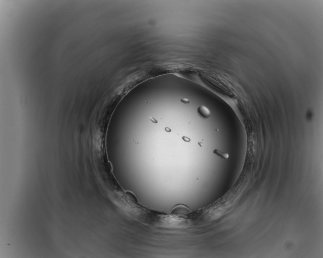 X0000100200380200806061328