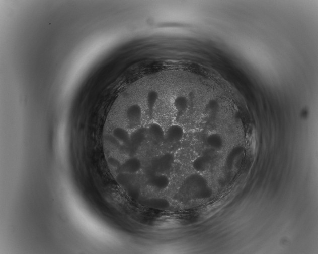 X0000100200381200806061328