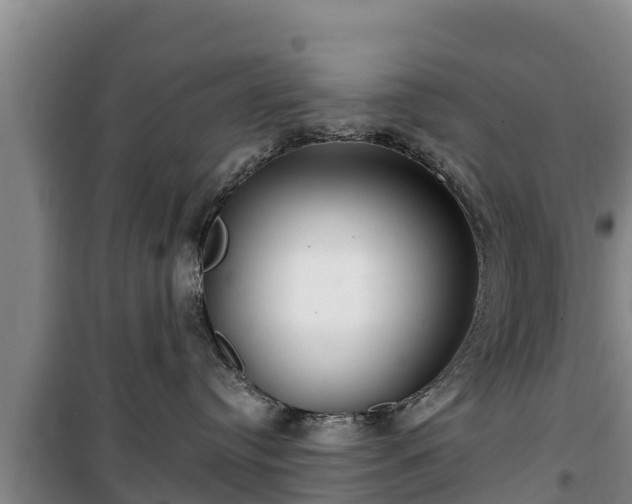 X0000100200384200806061328