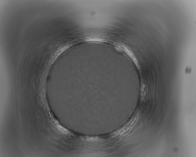 X0000100200385200806061327