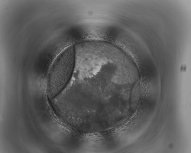 X0000100200386200806061327